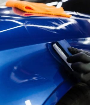 WhatsApp Image 2026-01-22 at 3.39.22 PM