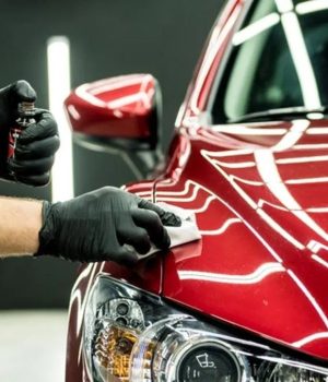 WhatsApp Image 2026-01-22 at 3.39.31 PM