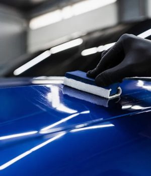 WhatsApp Image 2026-01-22 at 3.41.51 PM